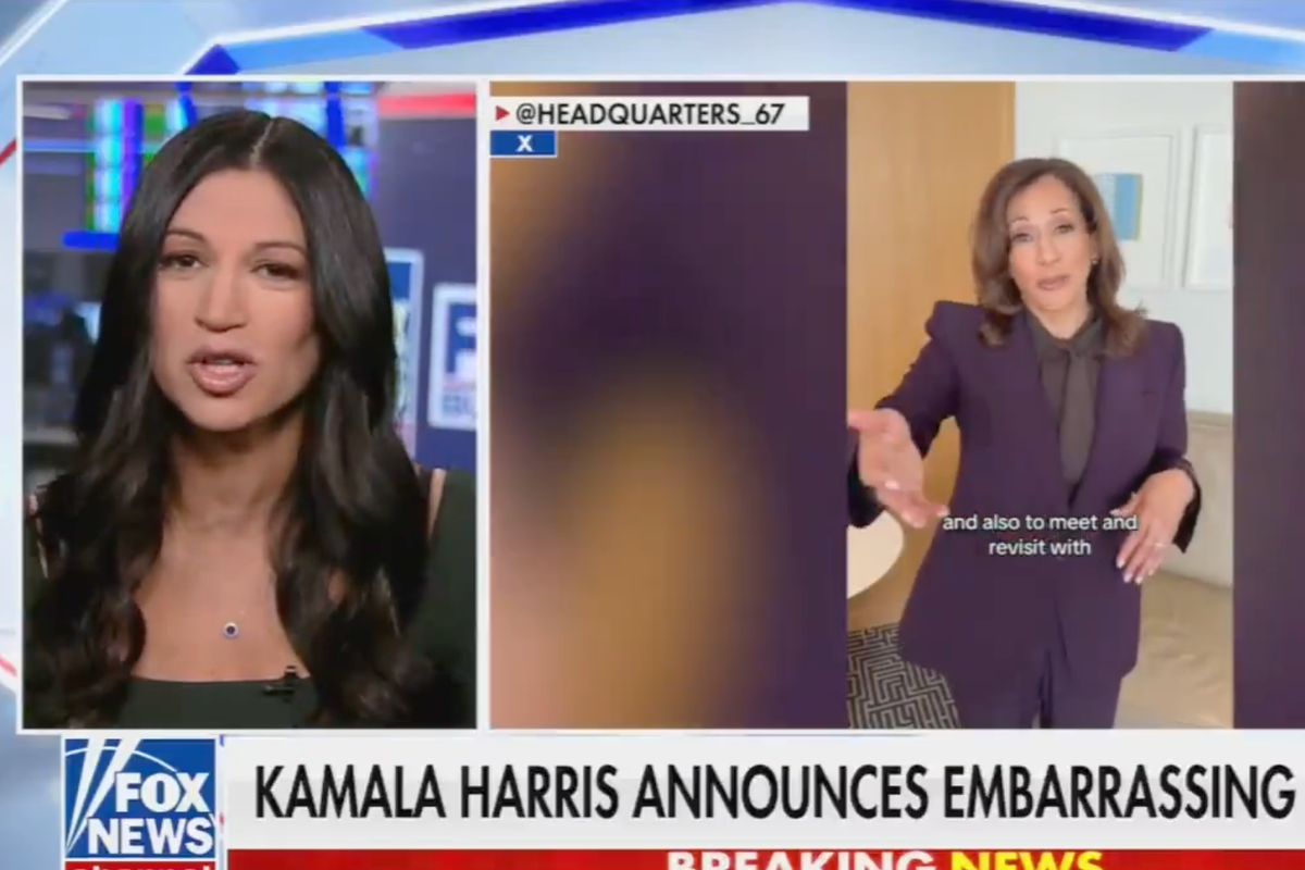 Stephen Miller’s wife Katie ‘begs’ Kamala Harris to run in 2028 for ‘rematch with Trump’ – UK Times Stephen Miller’s wife Katie ‘begs’ Kamala Harris to run in 2028 for ‘rematch with Trump’ – UK Times