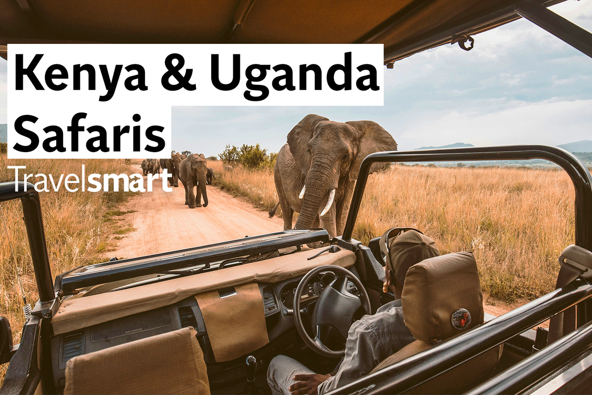 Kenya or Uganda: Which safari is best for you?