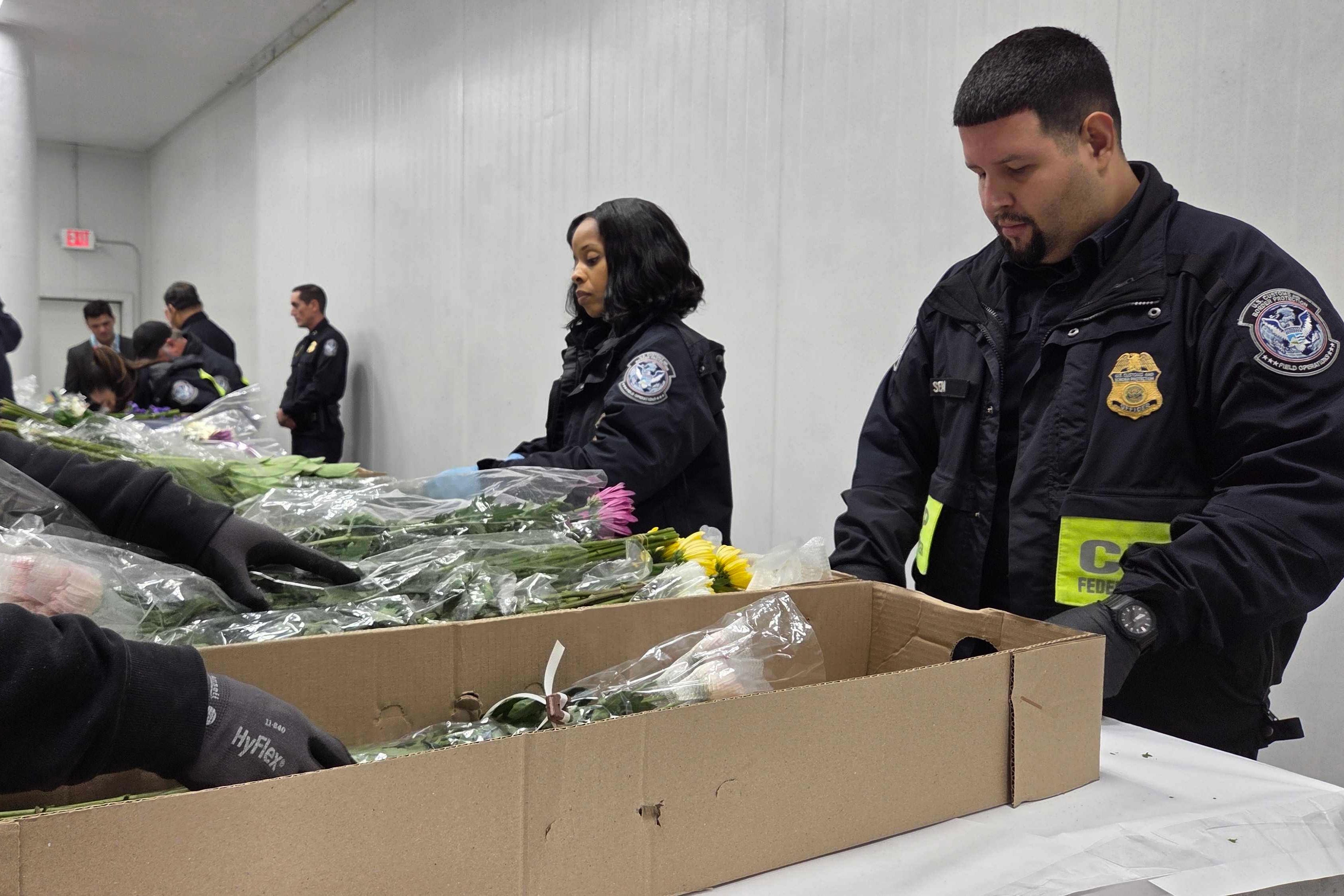 Valentine's Day Flowers