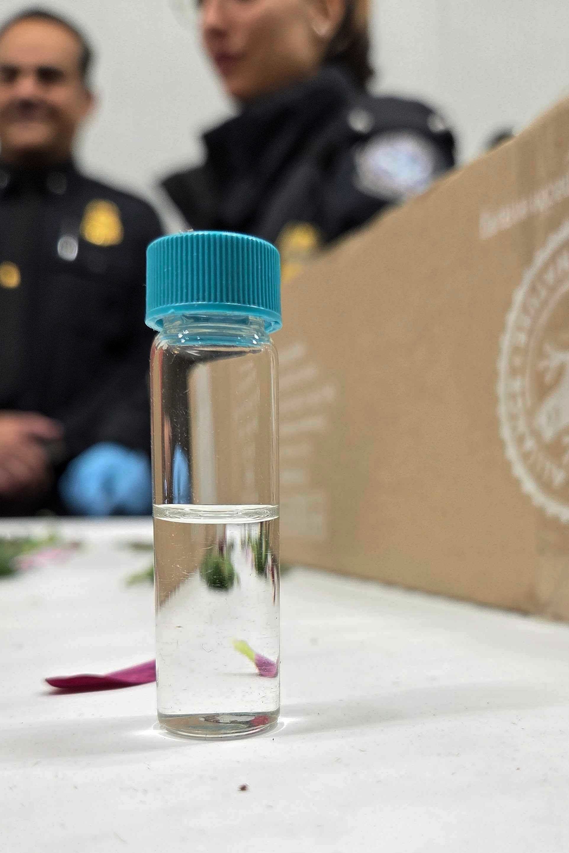 Valentine's Day Flowers