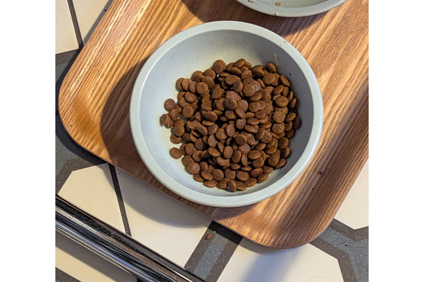 Best cat food IndyBest review Royal Canin ageing 15 plus