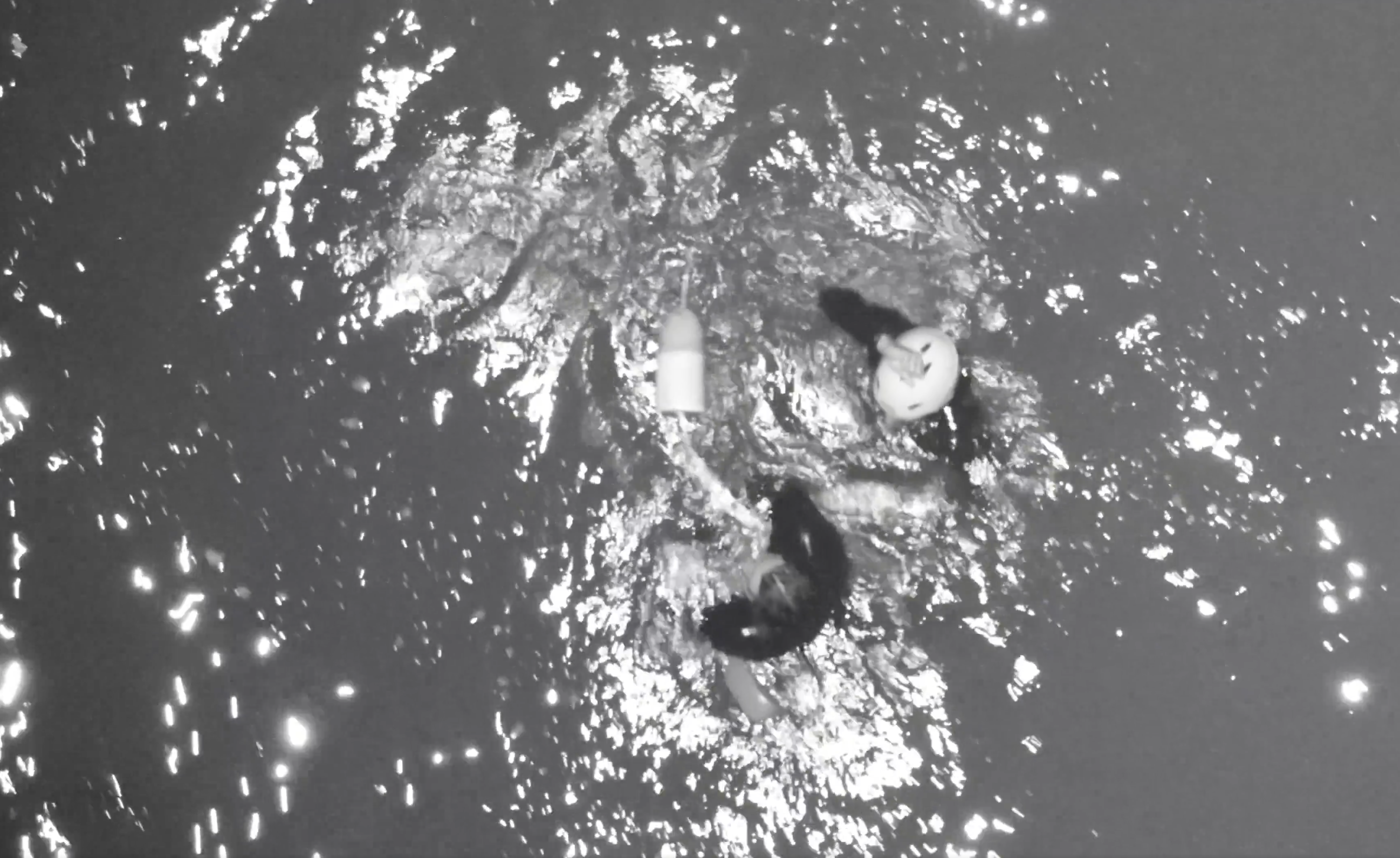 A rescuer from the Santa Barbara County Fire Department secures a 26-year-old surfer who was swept into the ocean near Haskell's Beach on February 6. The surfer managed to hold onto a lobster trap until rescuers could reach him