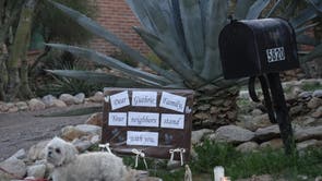 Savannah Guthrie Mom Missing