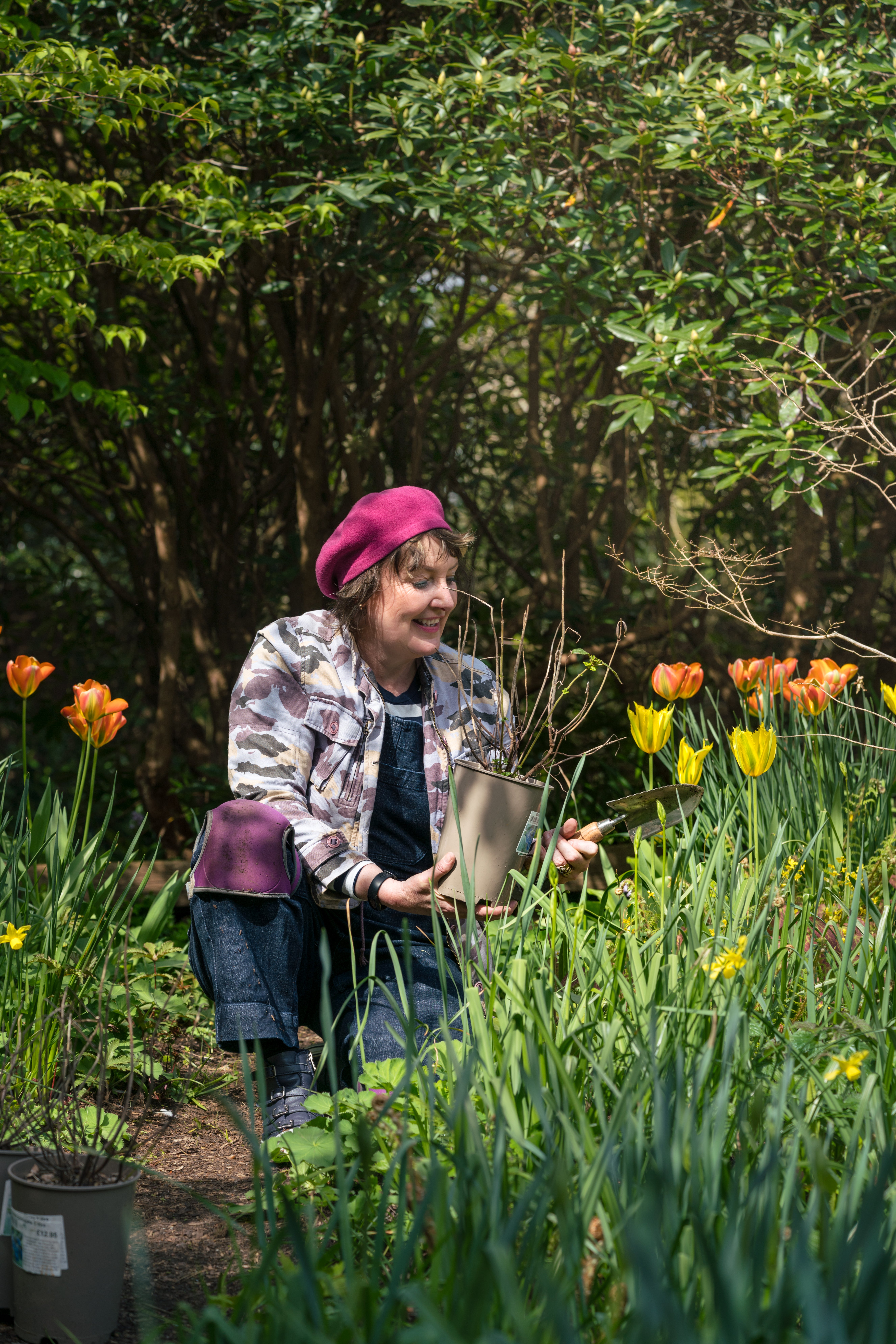 Ann-Marie Powell admiring border tulips