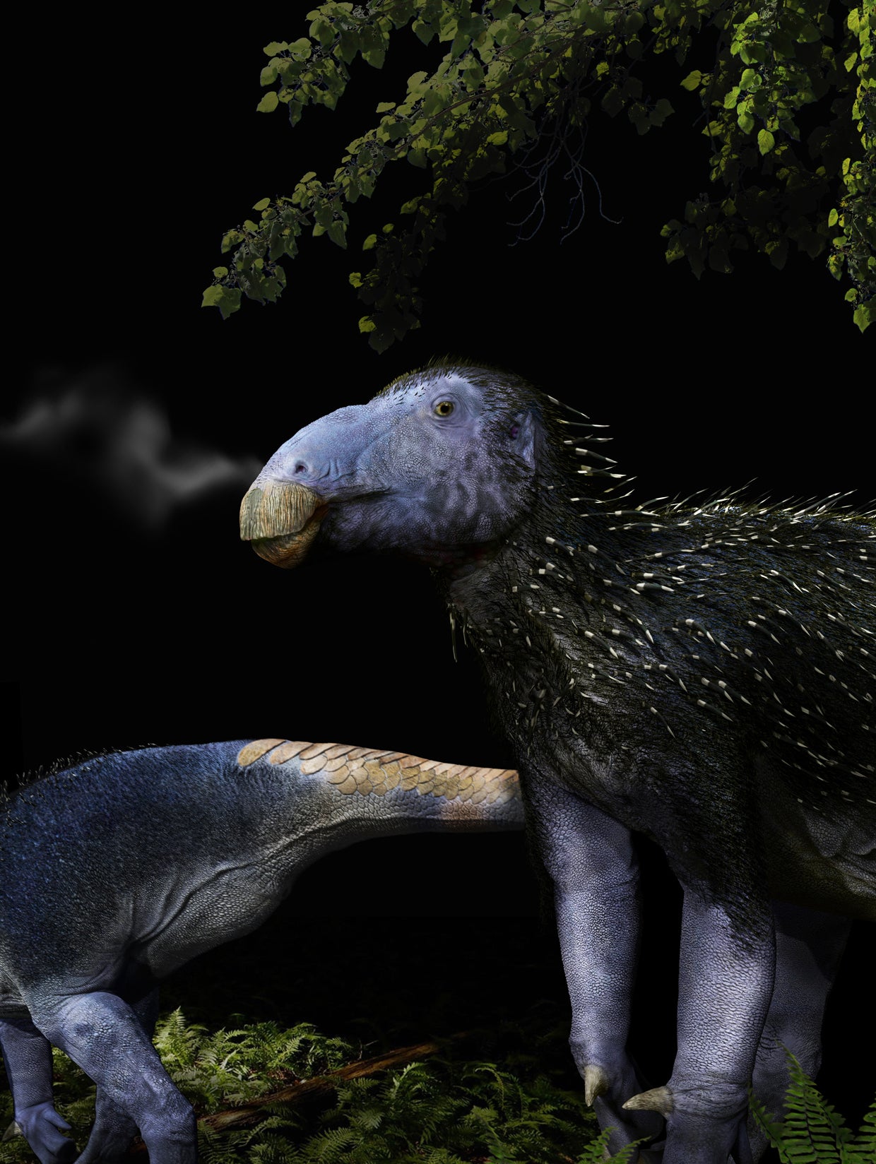 An artist’s impression of Haolong dongi