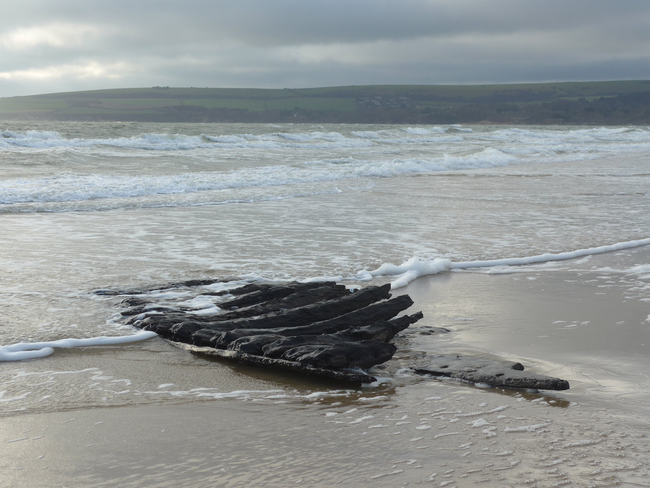<p>The timbers are believed to have come from a 17th-century shipwreck</p>