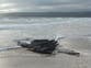 Timbers from 17th-century shipwreck wash up on beach after Storm Chandra