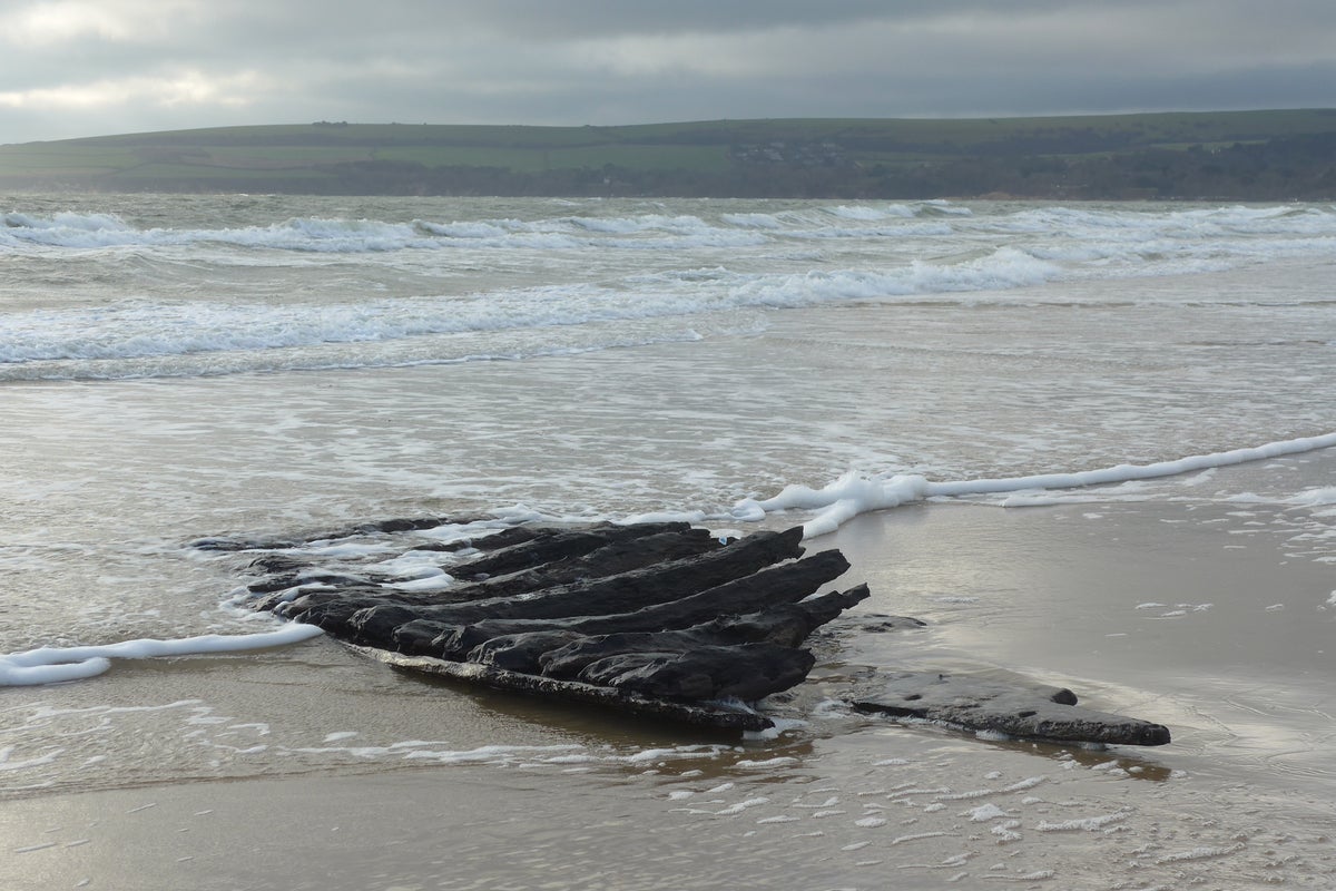 Timbers from 17th-century shipwreck wash up on beach after Storm Chandra
