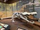 Massive ‘dinosaur-killer’ crocodile reconstructed in unprecedented detail
