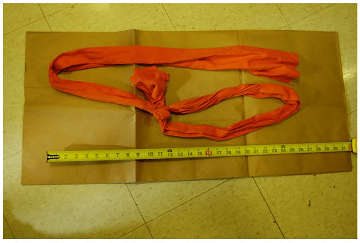 Medical examiners determined Epstein used a piece of rope-like fabric to hang himself, though his cellmates say the sex offender asked how to make a noose and similarly tried to kill himself with a sheet