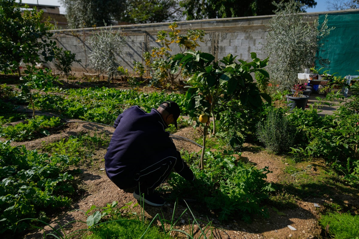World Bank Warns West Bank Faces Imminent Collapse