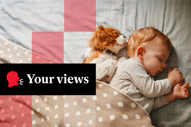 <p>Is it okay to get rid of your dog when you have a baby?</p>