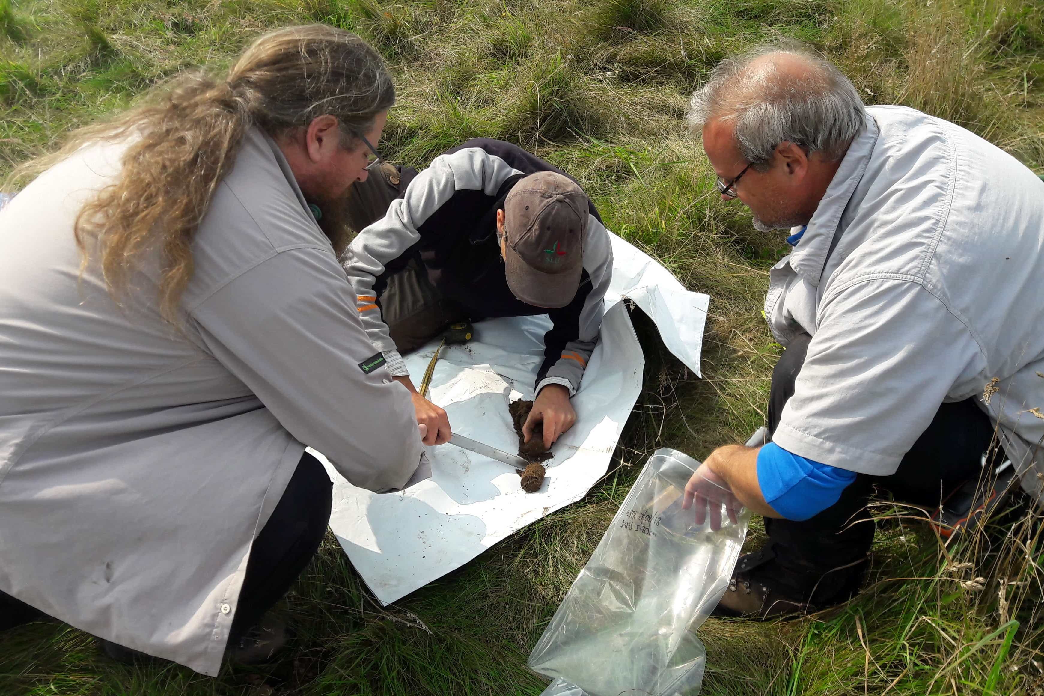 Researchers studied carbon in soil (University of Stirling/PA)