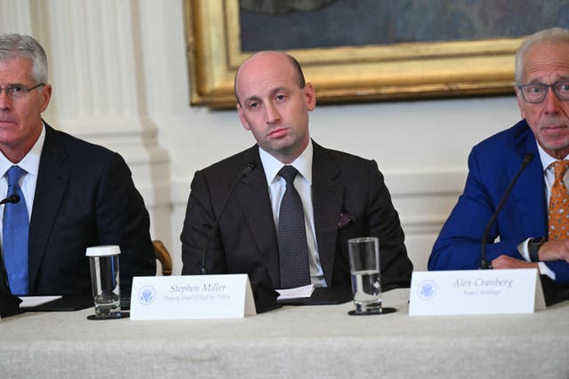 <p>Stephen Miller is 'working closely' with Trump's allies in Congress to combat attempts to rein in ICE, according to a new report</p>