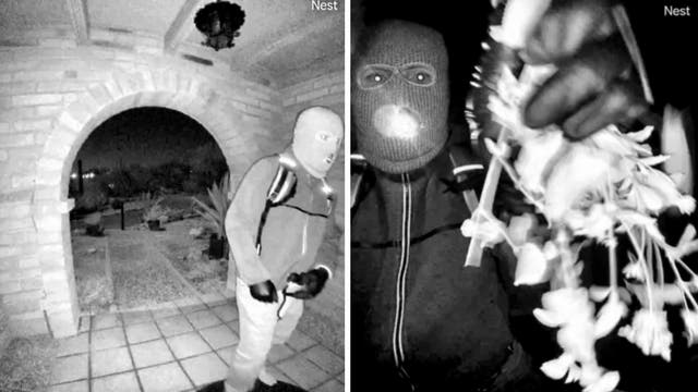 Savannah Guthrie Mom Missing