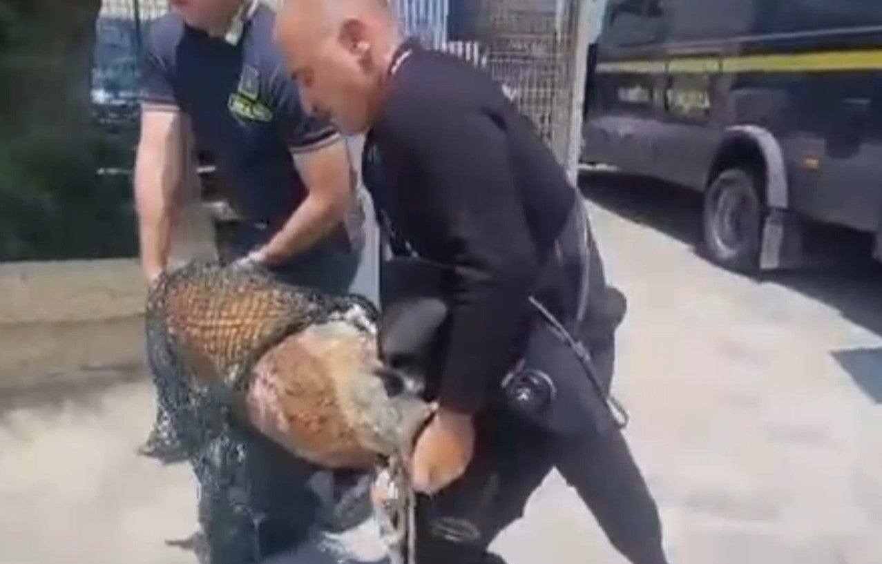 Italian Police removing one amphora from the wreck, which otherwise will remain undisturbed for now