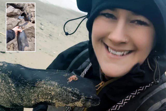 <p>Lizzie Forbes, 38, was on a beach walk when she stumbled upon Brenda's £3,000 limb that had washed up in the surf</p>