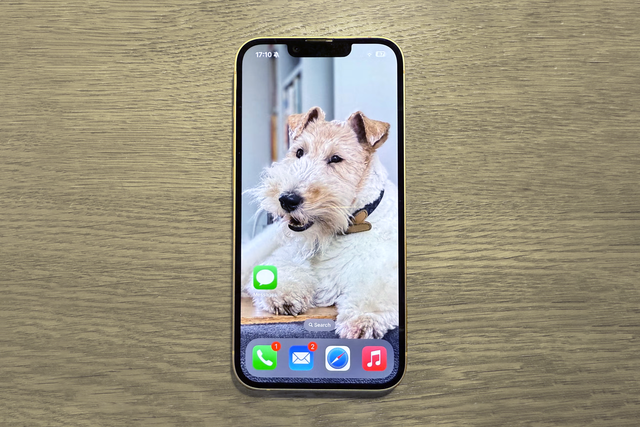 <p>The iPhone 16e launched last year for £599</p>