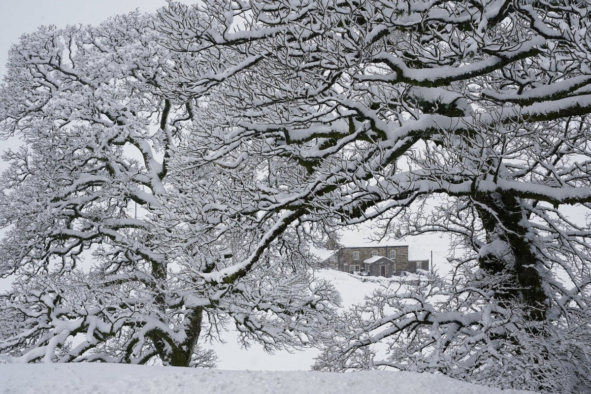 Wintry weather to continue across UK with warnings for snow and ice in place