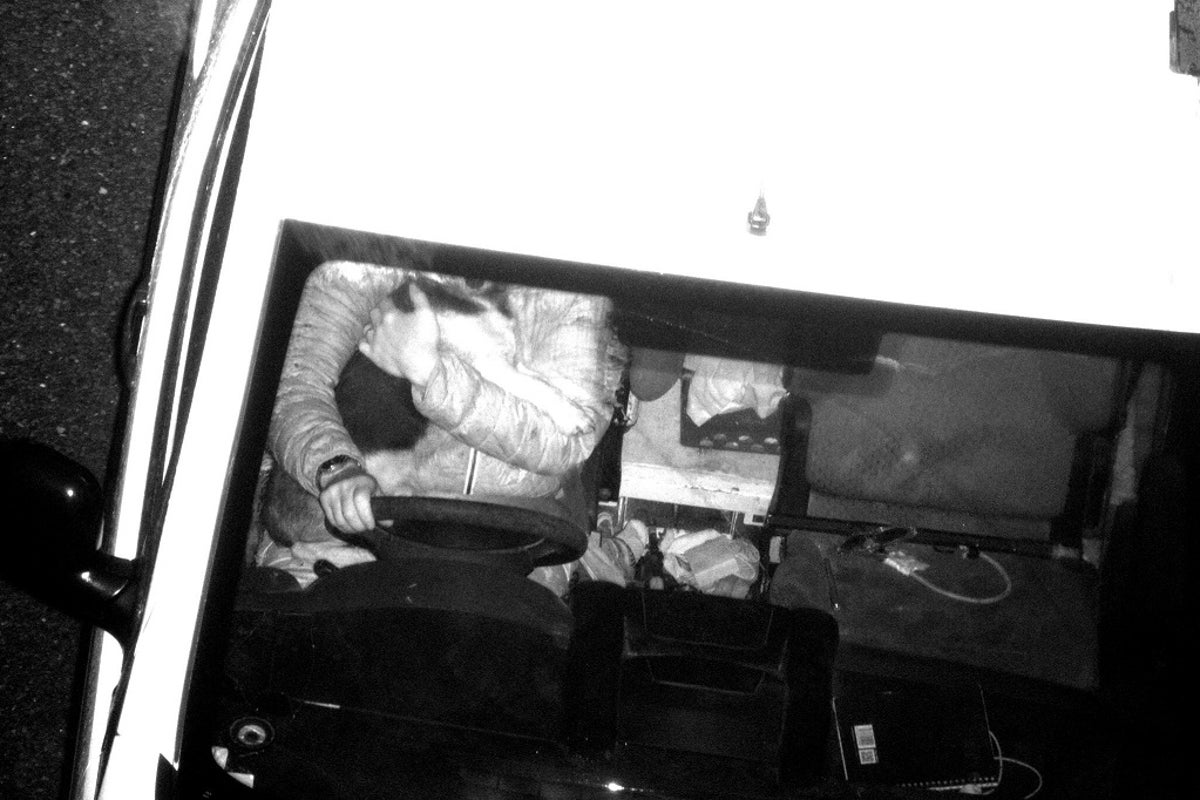 Police issue warning after pet detective' camera catches driver cuddling dog