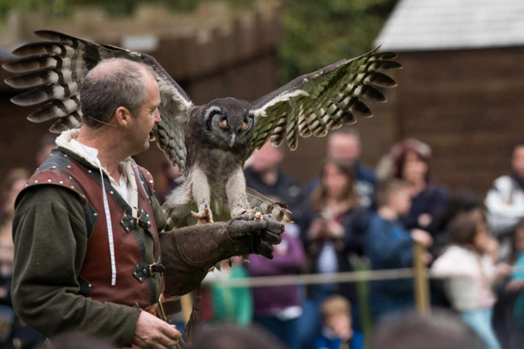 There's endless entertainment at Warwick Castle this February half-term