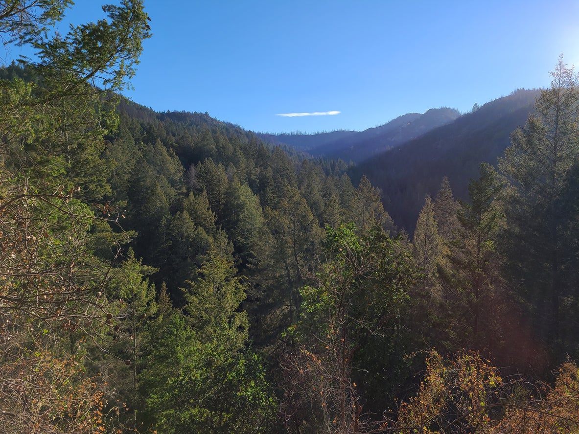 Trails lead through creeks and towering redwoods in Bothe-Napa Valley State Park