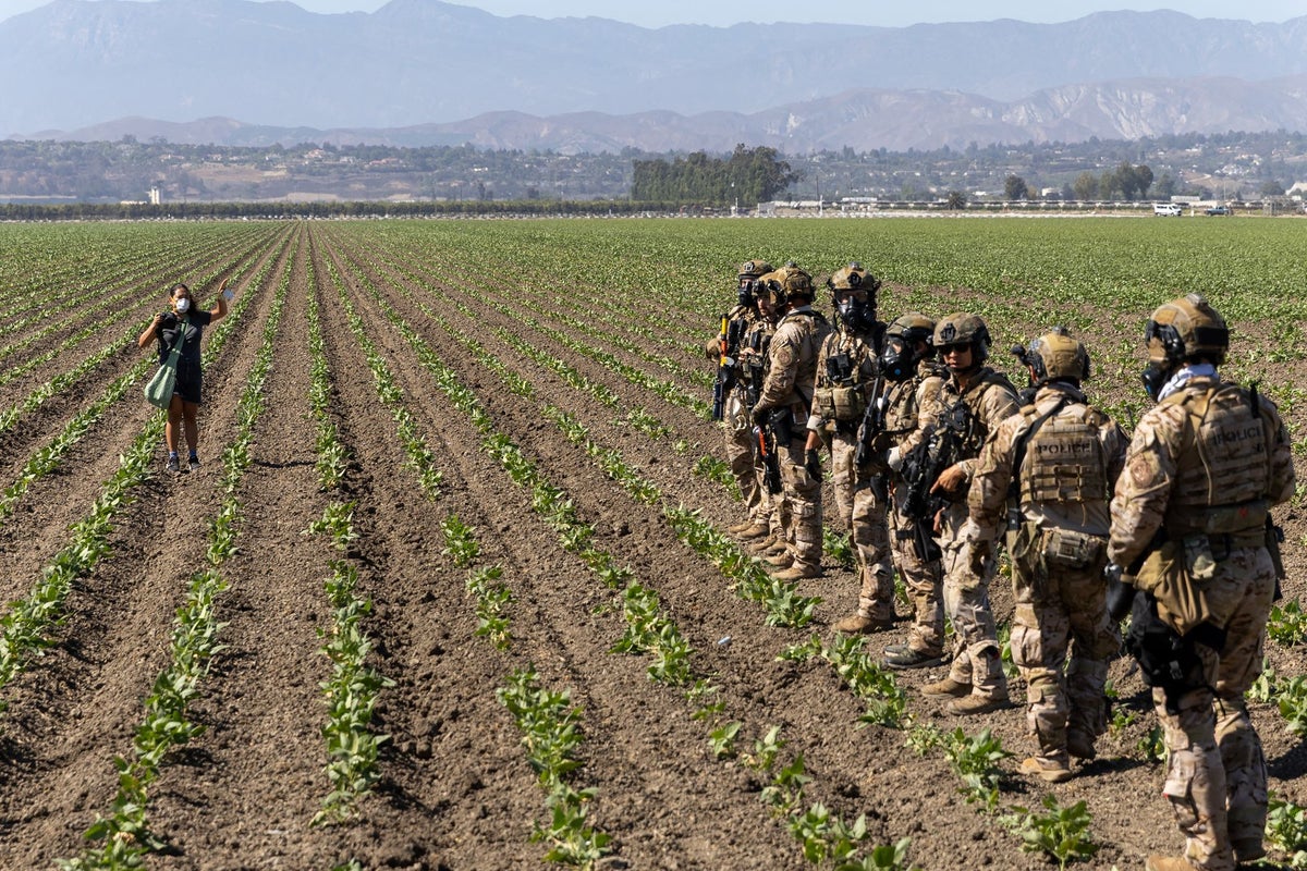 Trump team wants to make it easier for migrants to work on US farms - after targeting them in deportation raids