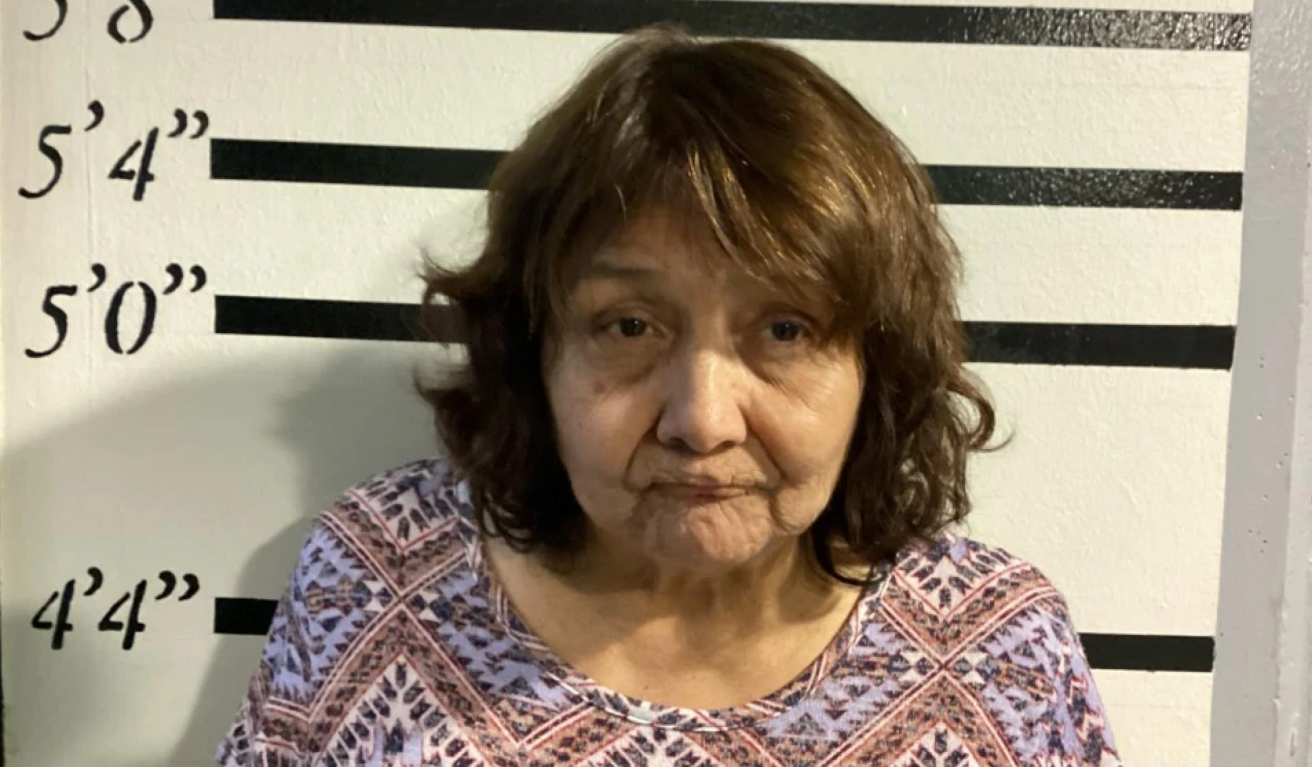 Elizabeth Poteete, 70, is charged with murder after police say she shot her husband, former Cherokee Nation Supreme Court Justice Troy Poteete