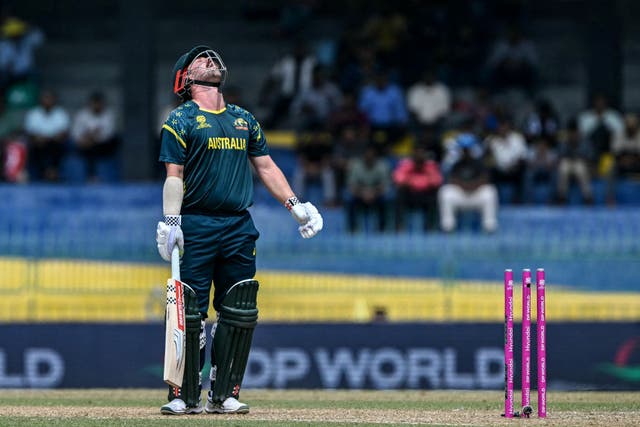 <p>Australia's Travis Head reacts after being dismissed against Zimbabwe</p>