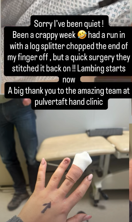 Harriet Cowan si era imbattuta con lo spaccalegna