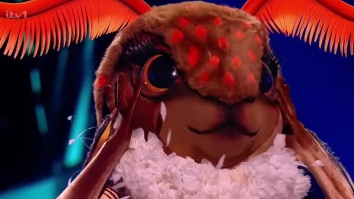 <p>The Masked Singer UK 2026 ends with winner unmasked as British pop favourite</p>