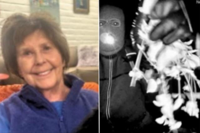 <p>The Pima County Sheriff’s Department has revealed DNA that doesn’t belong to anyone in 'close contact' with Nancy Guthrie was found at the missing 84-year-old’s home</p>