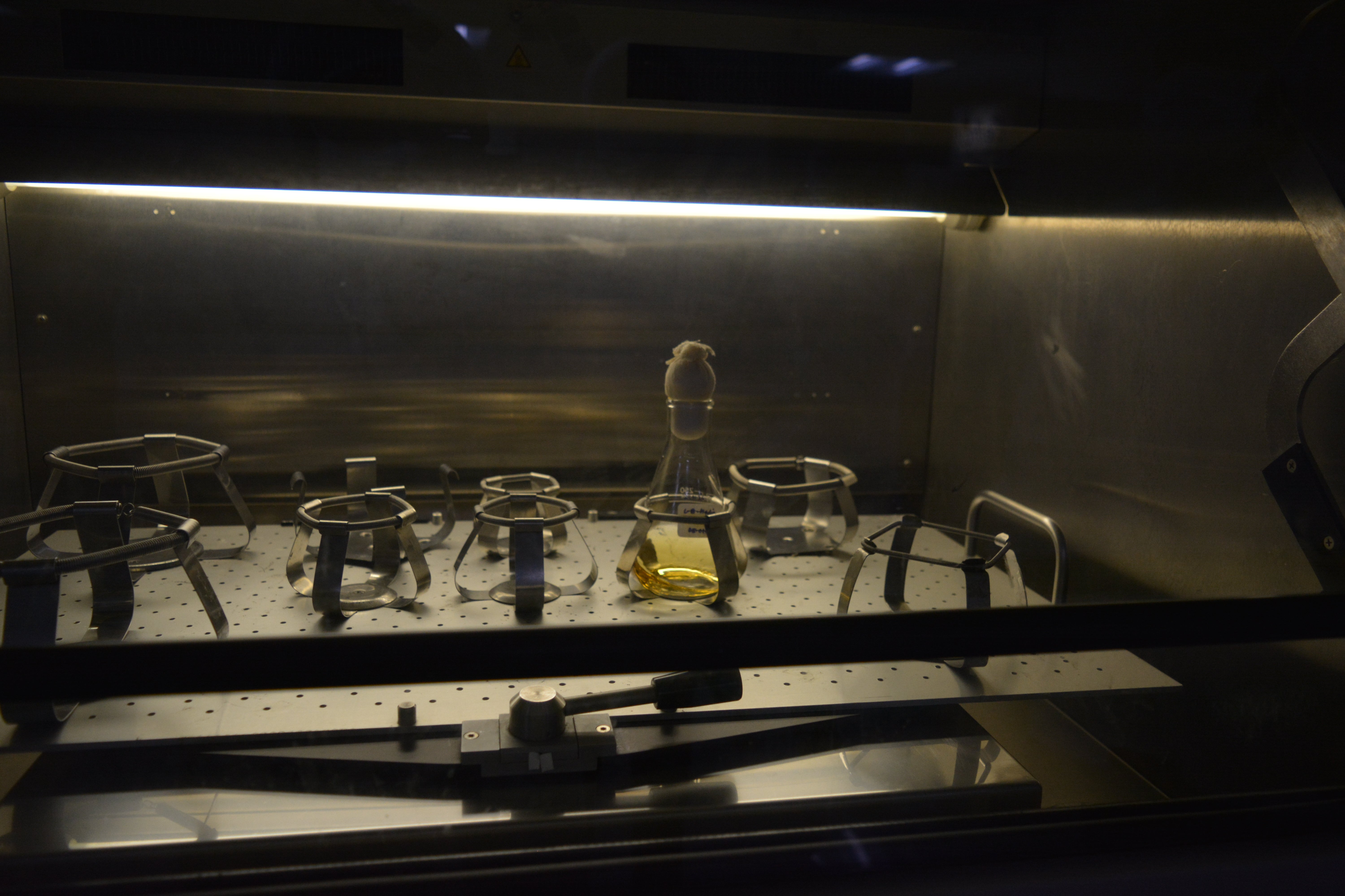 Inside Panacea Biotec's research lab