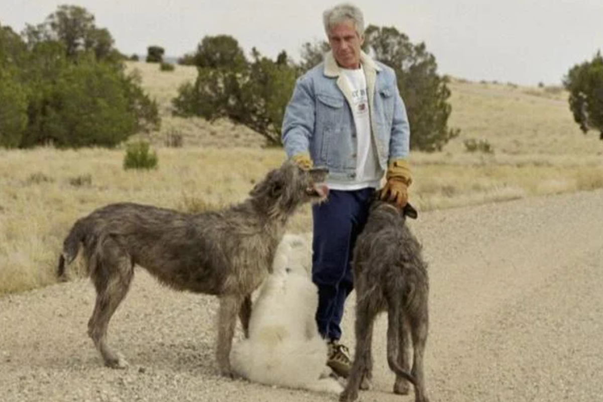 Authorities to investigate Epstein’s infamous Zorro Ranch now owned by MAGA Republican Authorities to investigate Epstein’s infamous Zorro Ranch now owned by MAGA Republican