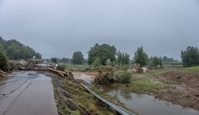 <p>Trees lie amid the floodwaters after heavy rain and wild winds in Puketotara, Waikato region, New Zealand</p>