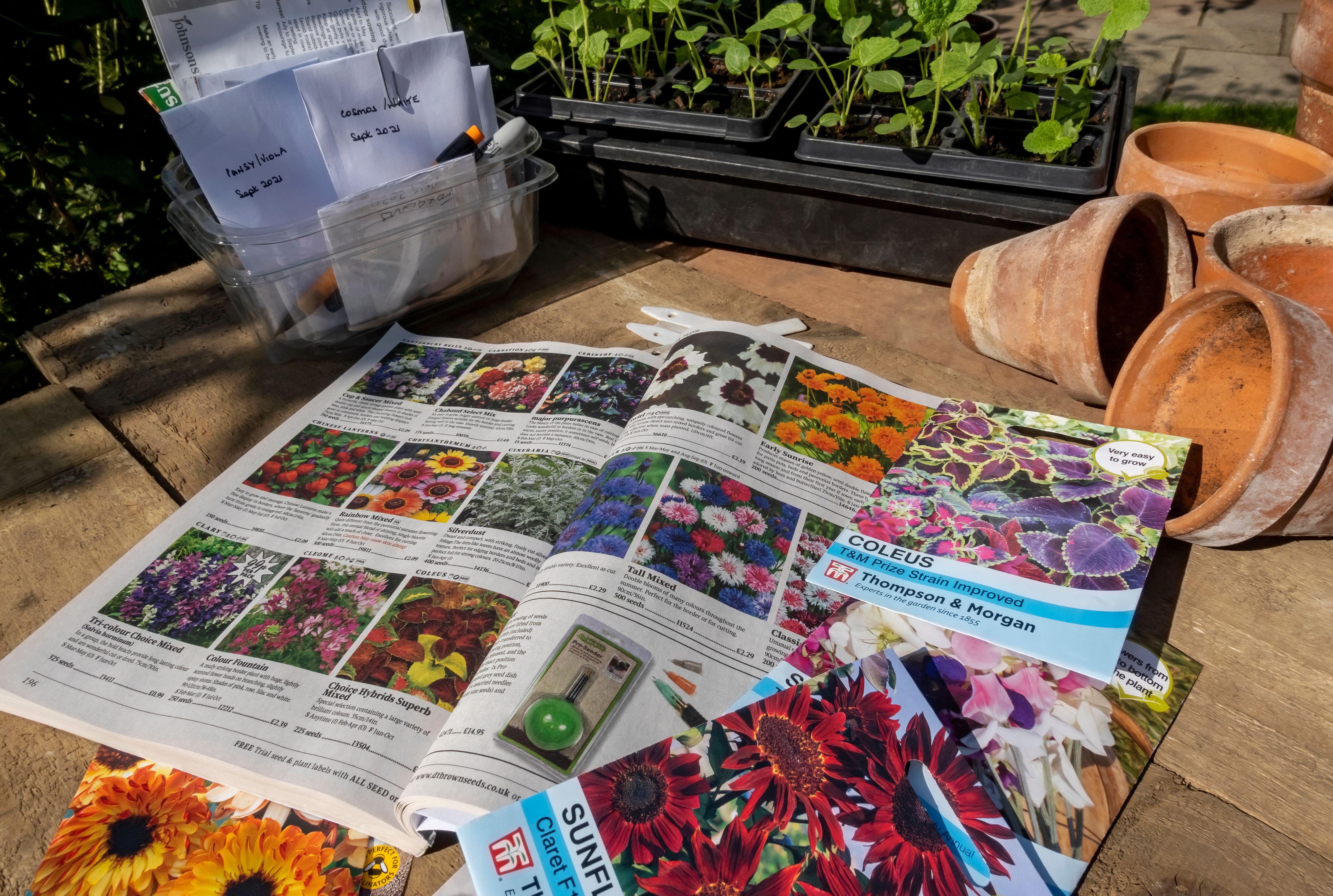 Planning is key to seeing results in the garden