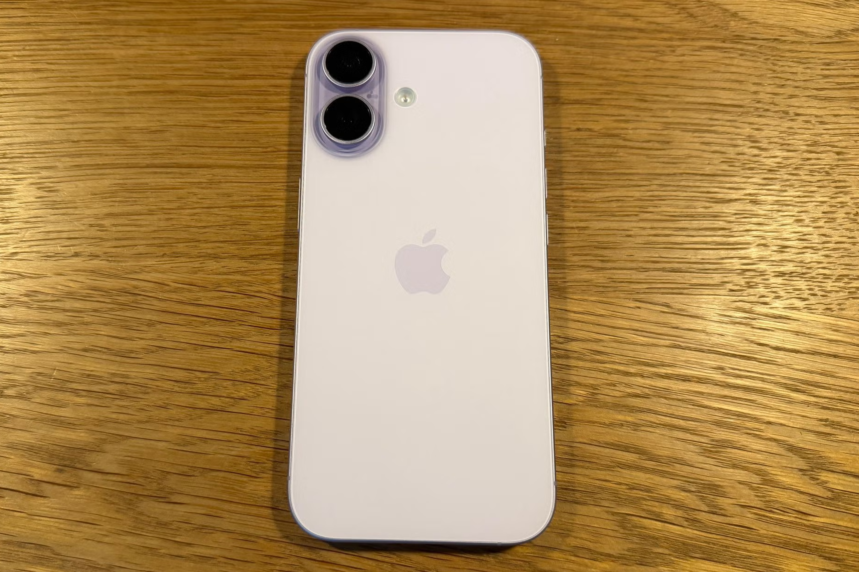 <p>The iPhone 16e launched last year for £599</p>