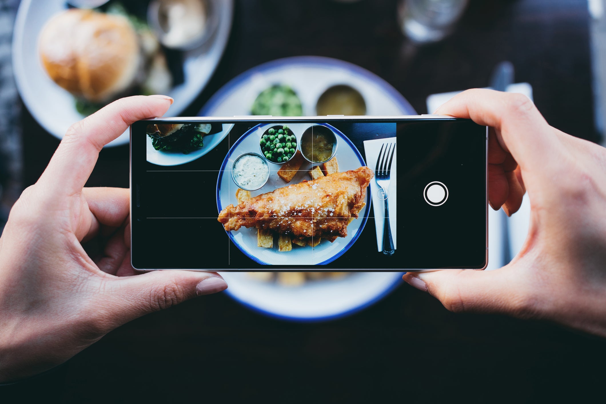 <p>Taking a photo of dinner is now so routine it barely registers – the argument begins when documentation turns into disruption</p>