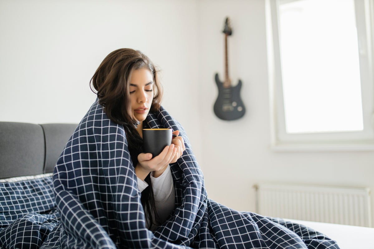 Chinese 'kang' platform‑bed offers low‑energy heating model for cold climates