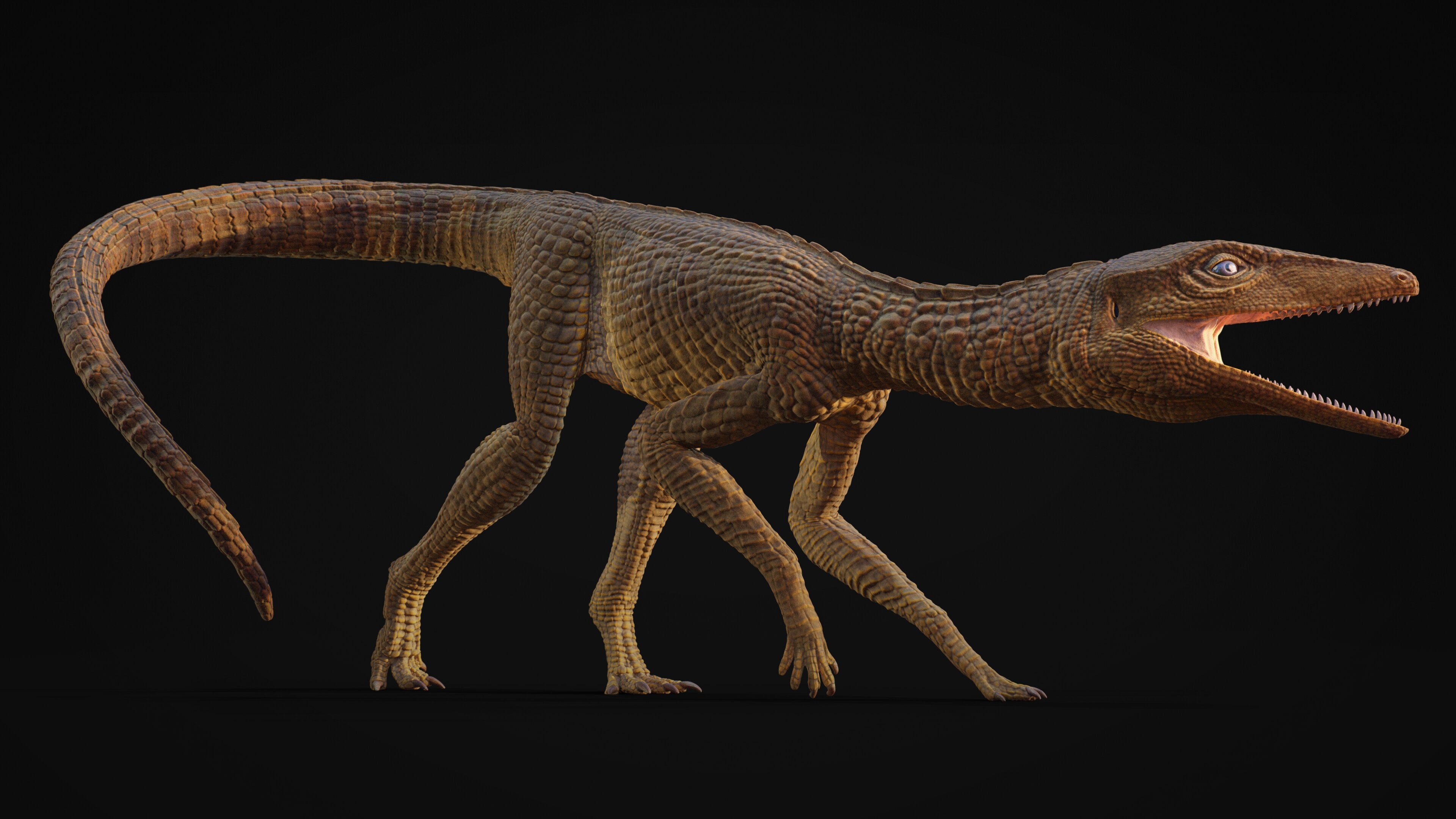 Galahadosuchus jonesi is described as resembling a reptilian greyhound