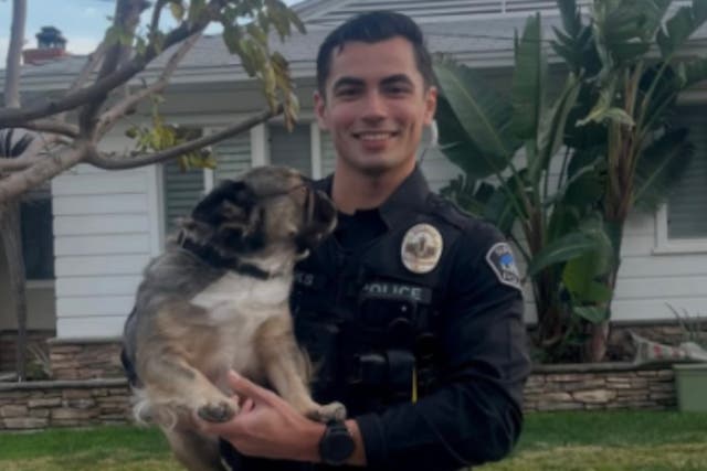 <p>Social media users are swooning over a photo of Officer Parks with the Burbank Police Department, cuddling up with some pups while on duty</p>