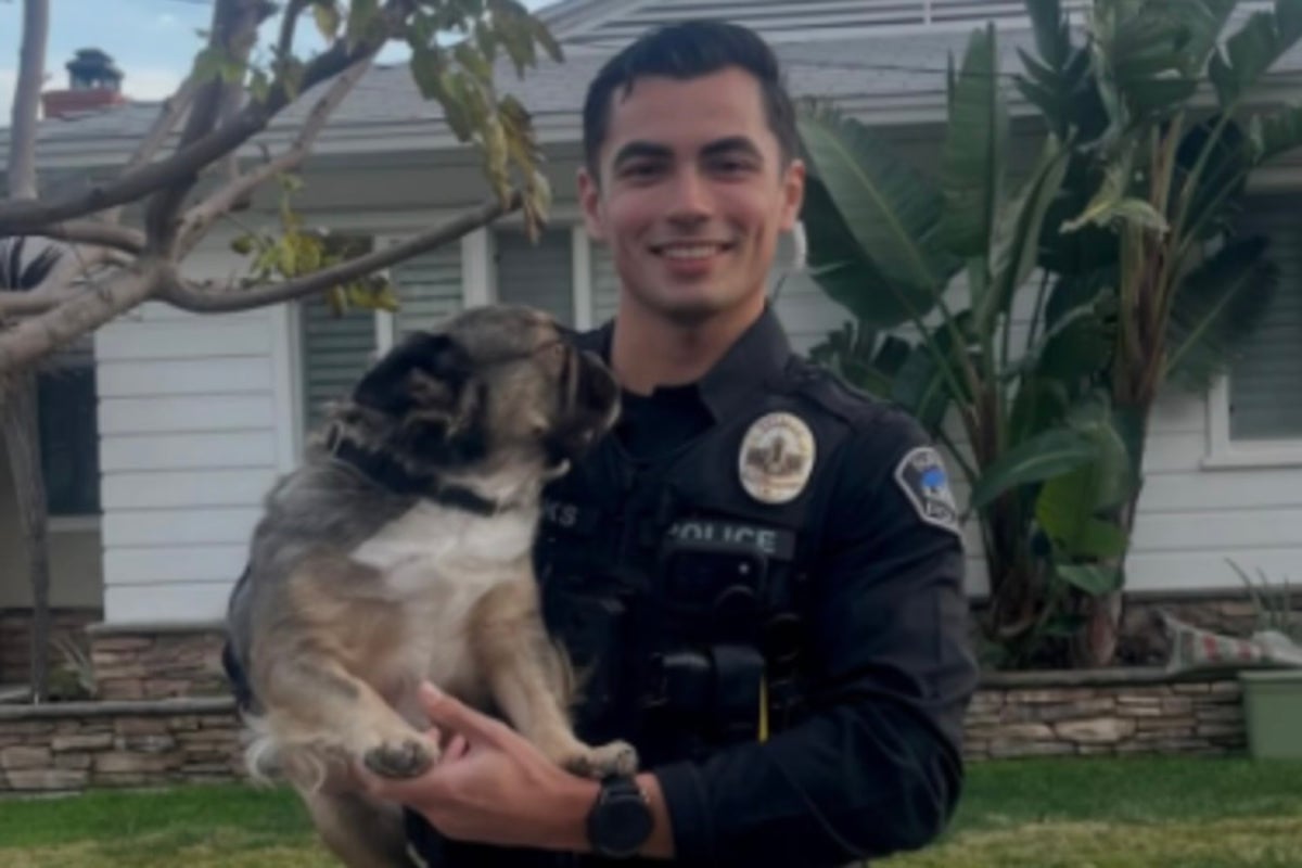 Social media users swoon as photo of California cop on duty with pups goes viral: ‘I identify as a dog’ – UK Times Social media users swoon as photo of California cop on duty with pups goes viral: ‘I identify as a dog’ – UK Times