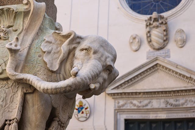 <p>Gian Lorenzo Bernini's marble elephant statue known as ‘Elefantino’ in Piazza della Minerva after its left tusk was discovered broken</p>