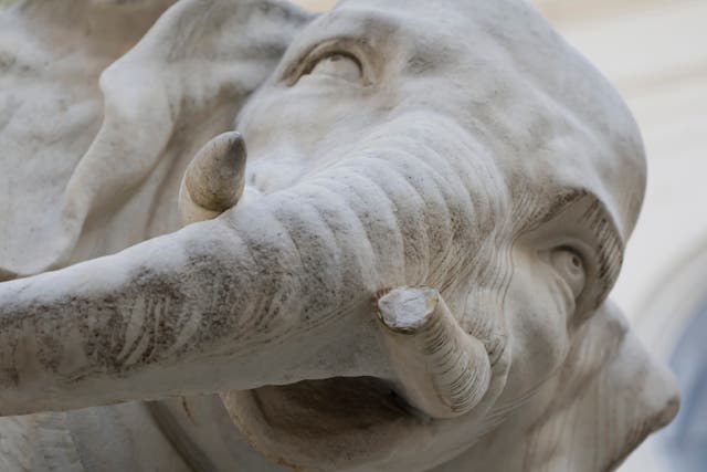 Italy Bernini's Elelphant