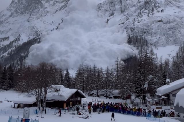 <p>La gente empezó a correr cuando la avalancha se acercaba sobre los pinos</p>