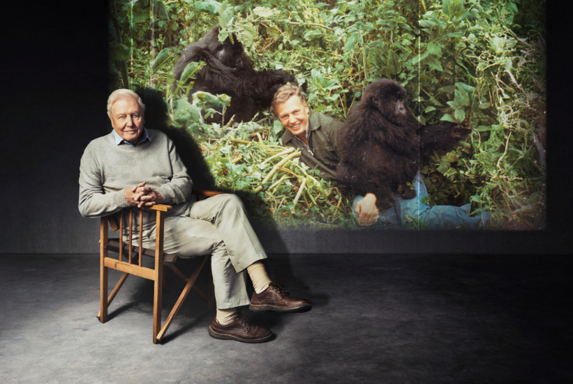 Attenborough refletiu sobre seu encontro mais famoso
