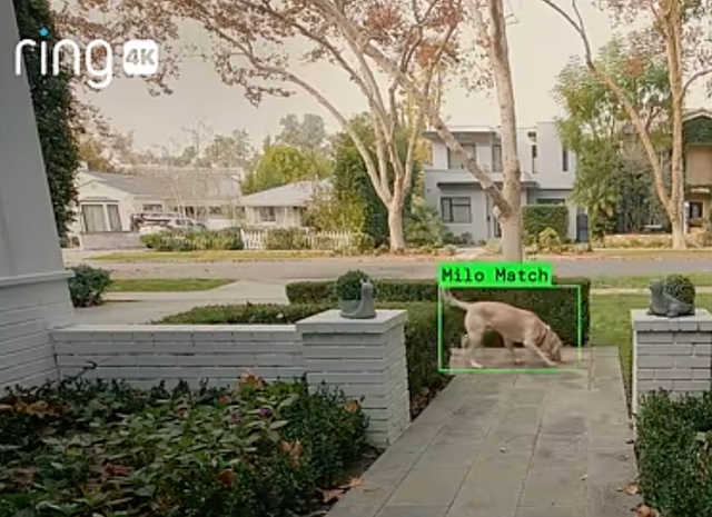 <p>A leaked email from Ring claims that its Search Party tool, which currently tracks lost dogs, could be used for other surveillance purposes</p>