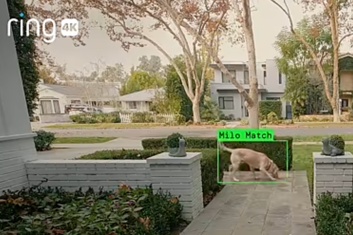 Leaked email shows Ring CEO using Charlie Kirk’s assassination to justify expansion of ‘Search Party’ feature: report Leaked email shows Ring CEO using Charlie Kirk’s assassination to justify expansion of ‘Search Party’ feature: report