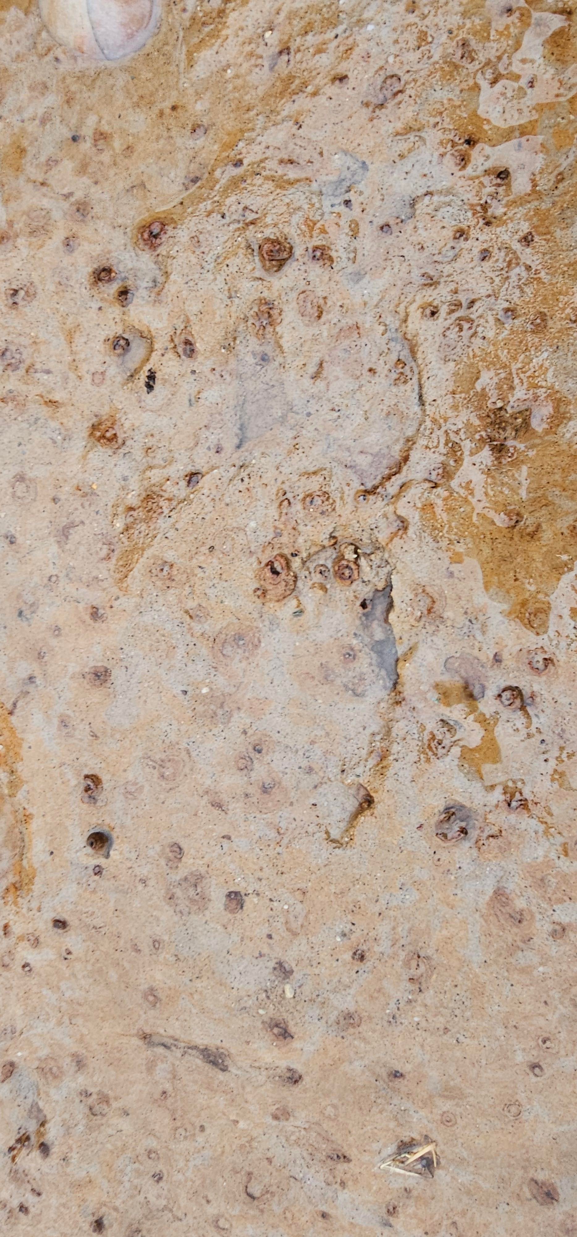 Footprints dating back 2000 years were found on the beach