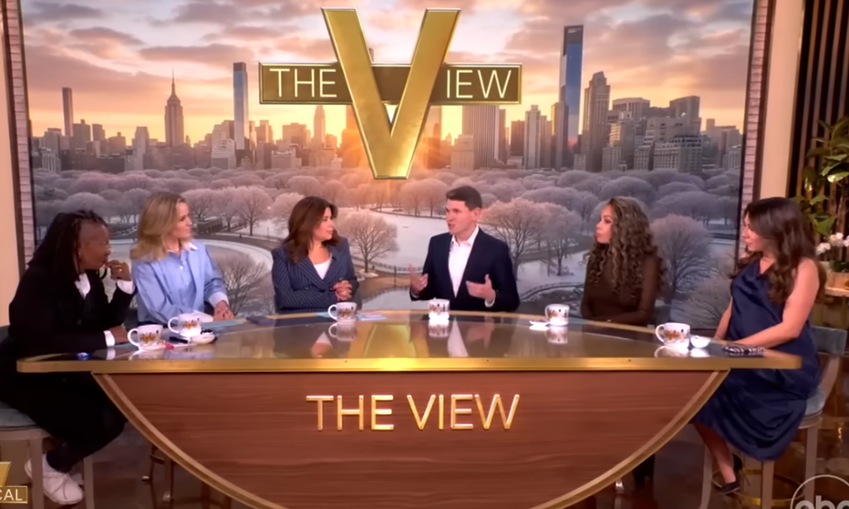 Texas Senate candidate James Talarico appeared on 'The View' as a guest February 2
